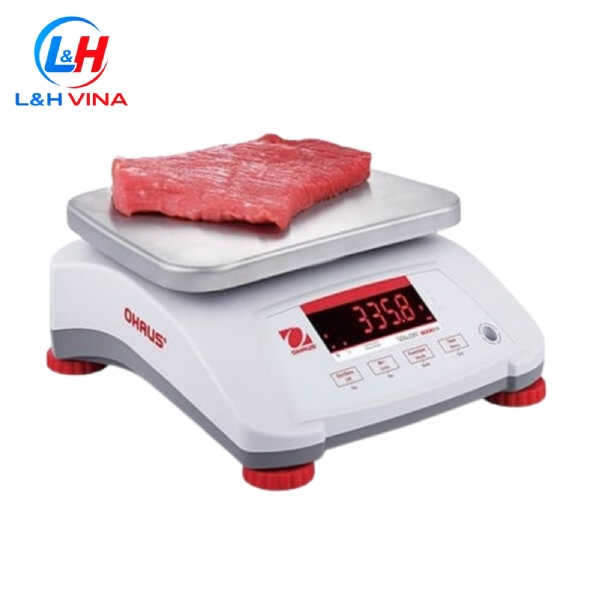 CÂN KỸ THUẬT V41XWE15T-M 