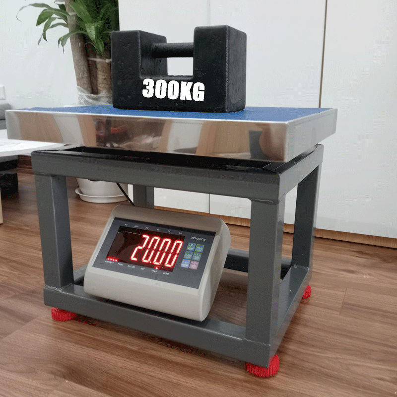Cân Ghế Điện Tử T7E 300kg