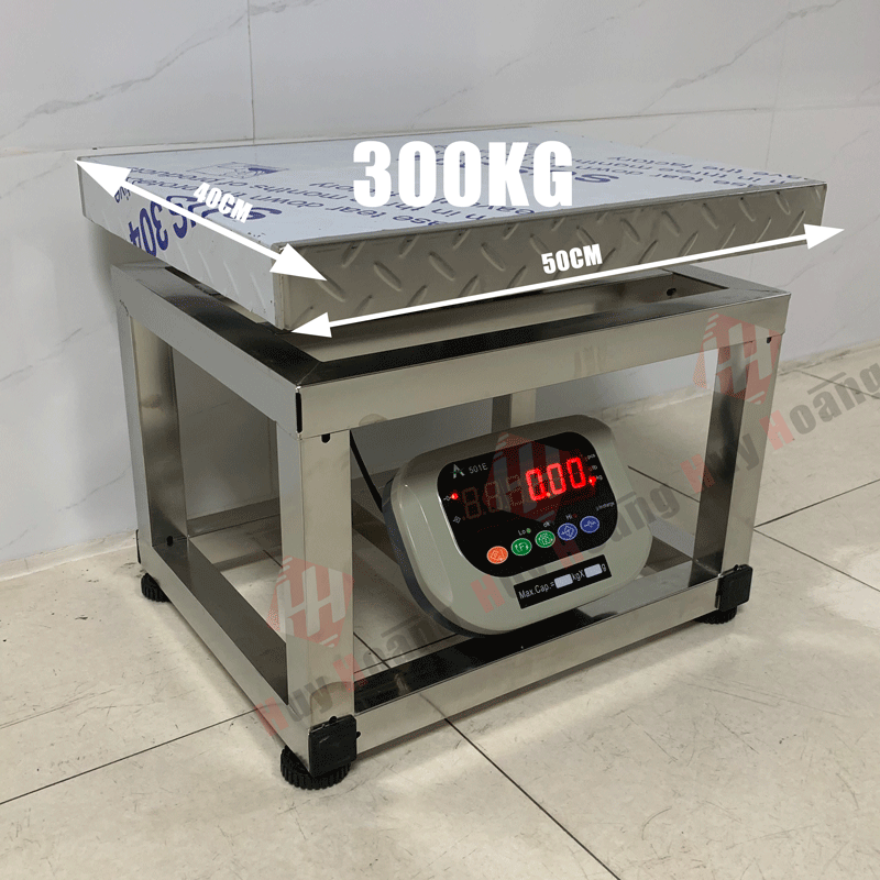 Cân Điện Tử 300kg 501E Inox Chống Nước