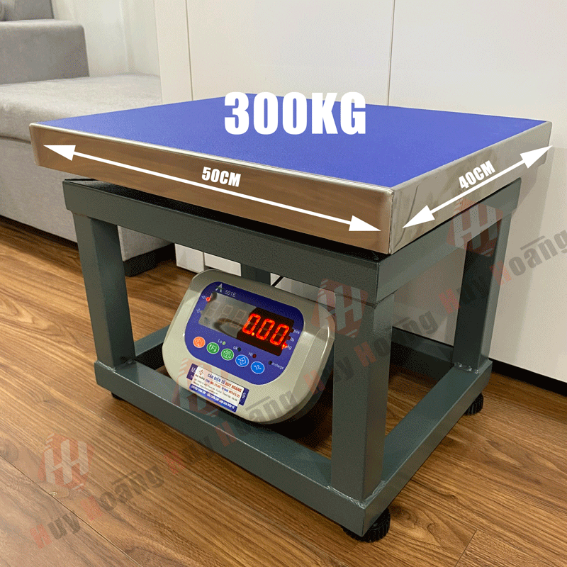 Cân Điện Tử 300kg 501E-Chống Rung, Chống Nước