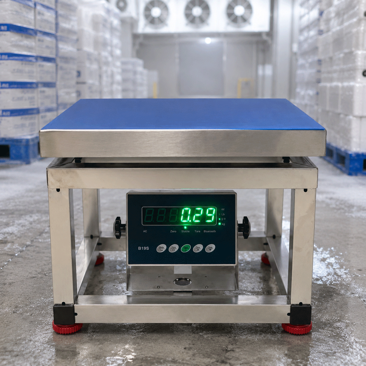 Cân Ghế Điện Tử 300kg B19S Mỹ Inox 304